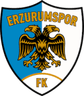 Erzurumspor FK-Logo