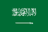Saudi Arabia U20-Logo