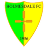 Holmesdale-Logo