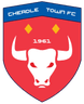 Cheadle Town-Logo