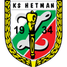 Hetman Zamosc-Logo