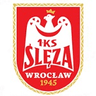 Ślęza Wrocław-Logo