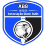 Black Bulls Maputo-Logo