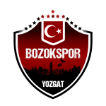 Yozgat Bld Bozokspor-Logo