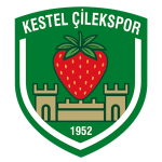 Kestel Çilek-Logo