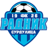 Radnik Surdulica-Logo