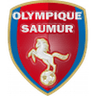 Saumur-Logo
