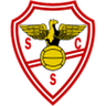 Salgueiros-Logo
