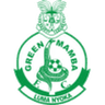 Green Mamba-Logo