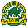 Nyva Ternopil-Logo