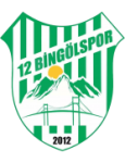 12 Bingölspor-Logo