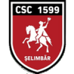 Viitorul Şelimbăr-Logo