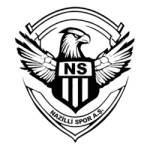 Nazilli Spor-Logo