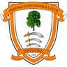 Ashford Town (Middlesex)-Logo