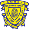 Basingstoke Town-Logo