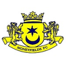Moneyfields-Logo