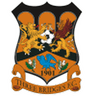 Three Bridges-Logo