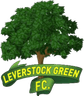 Leverstock Green-Logo