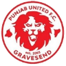 Punjab United-Logo