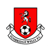 Tunbridge Wells-Logo